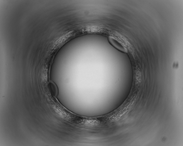 X0000101200401200806271356