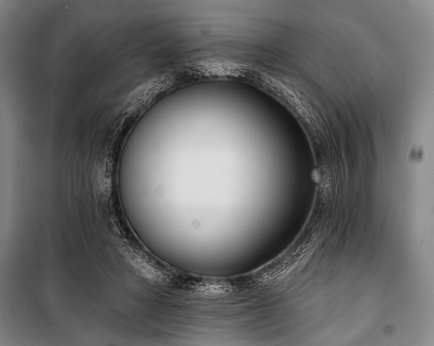 X0000101200402200806271356
