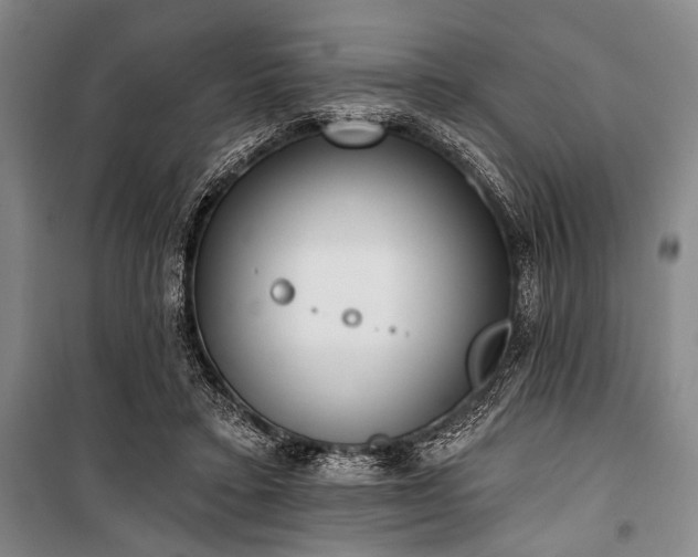X0000101200403200806271356