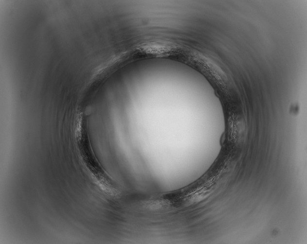 X0000101200404200806271356