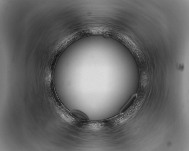 X0000101200405200806271356