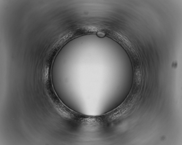 X0000101200406200806271356