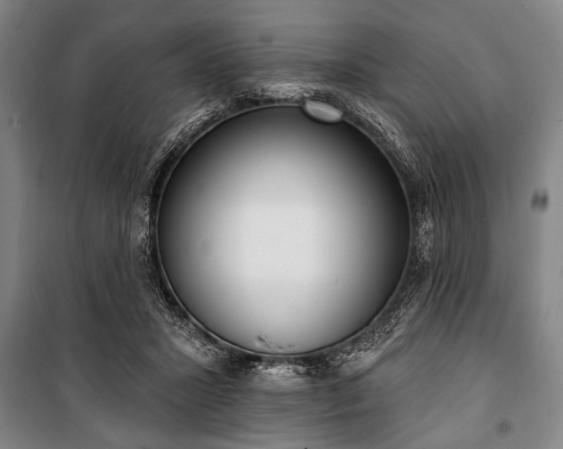 X0000101200407200806271356