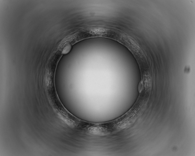X0000101200408200806271356