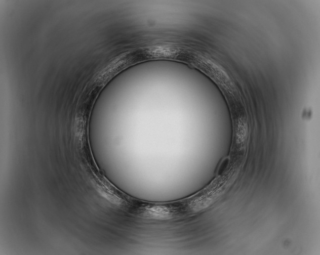 X0000101200409200806271356