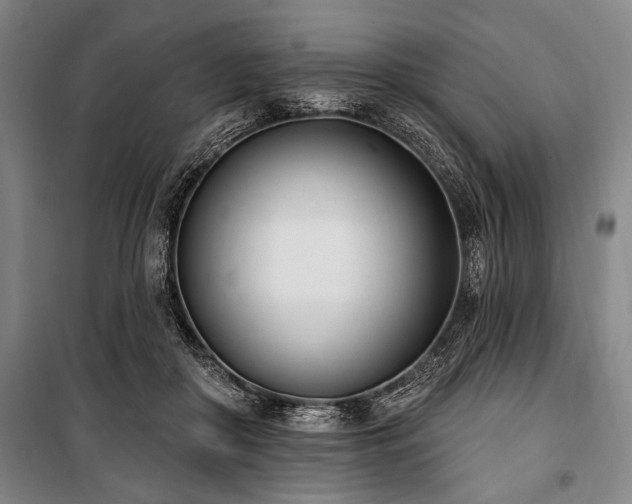 X0000101200410200806271355