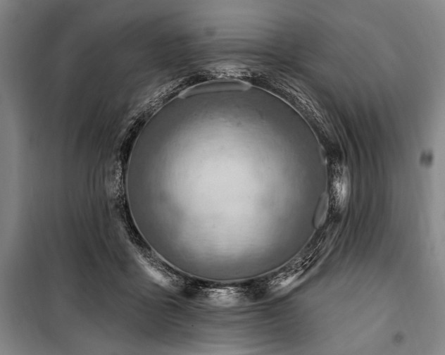 X0000101200411200806271355