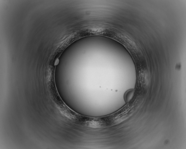 X0000101200412200806271355
