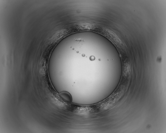 X0000101200414200806271355