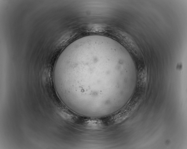 X0000101200415200806271355