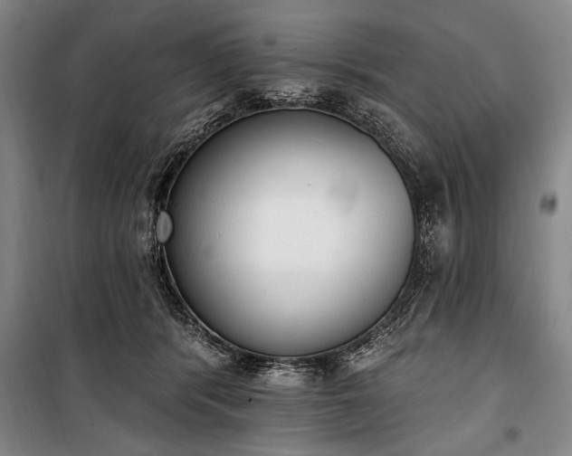 X0000101200416200806271355