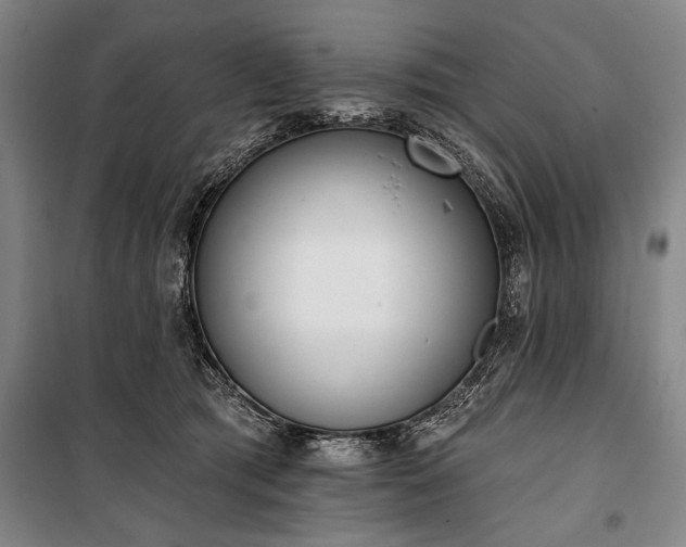 X0000101200417200806271355