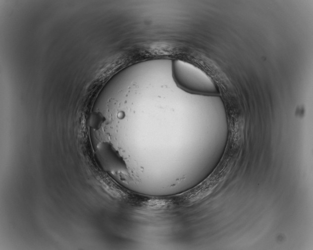X0000101200418200806271355