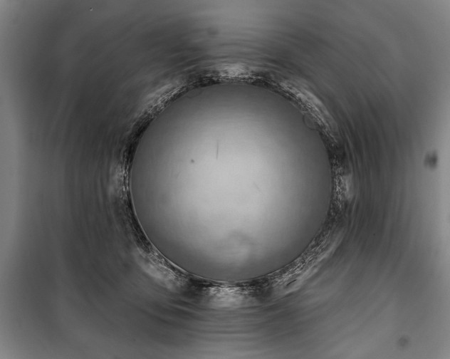 X0000101200419200806271355