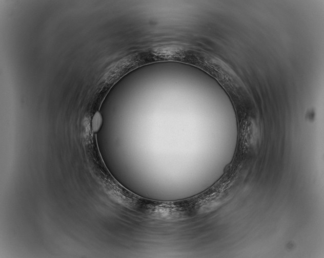 X0000101200420200806271355