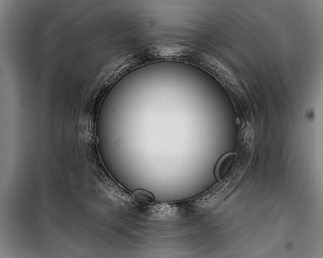 X0000101200421200806271355