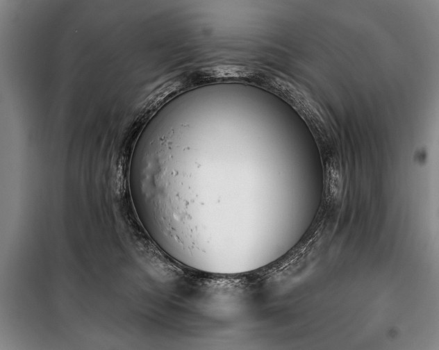 X0000101200422200806271355