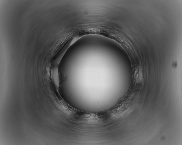 X0000101200424200806271355