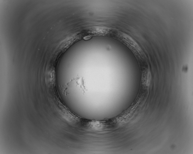 X0000101200425200806271355