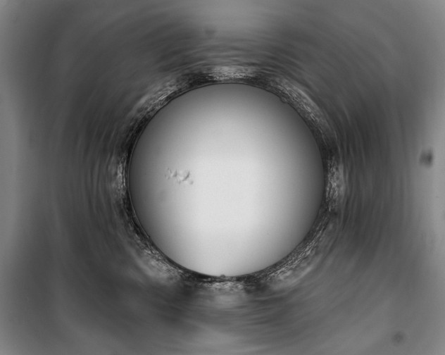 X0000101200426200806271355
