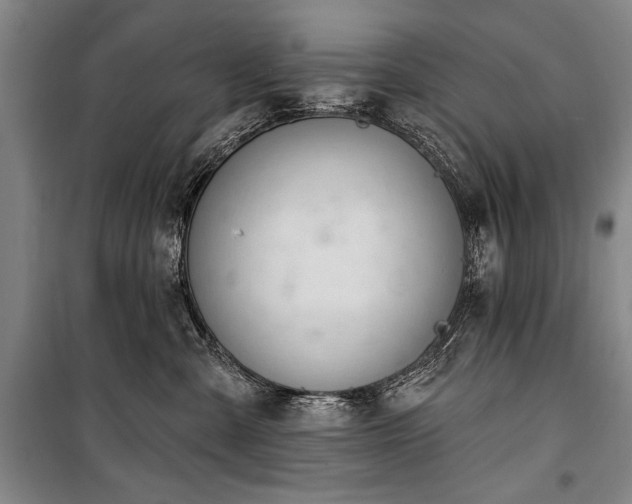 X0000101200427200806271355
