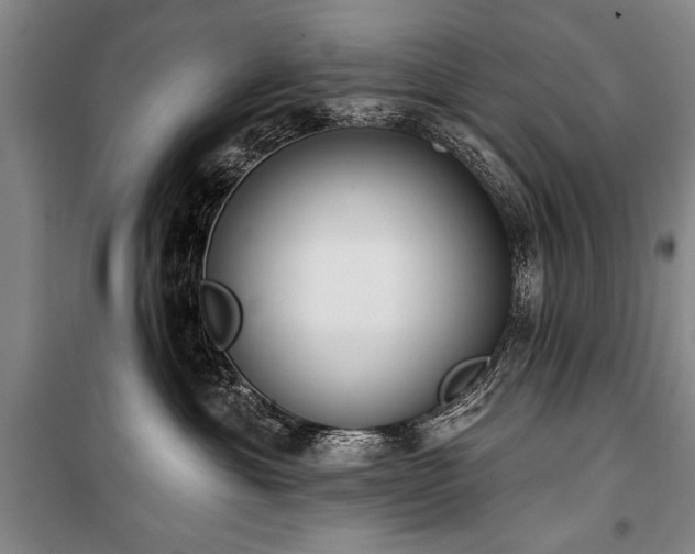 X0000101200429200806271355
