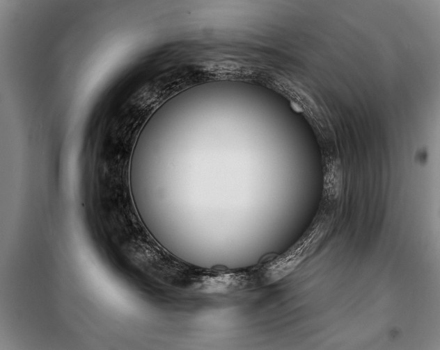 X0000101200430200806271355