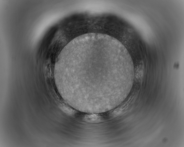 X0000101200431200806271355