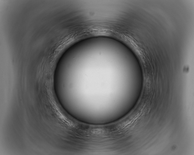 X0000101200433200806271355