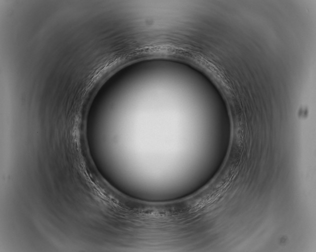 X0000101200434200806271355