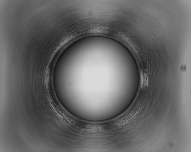X0000101200435200806271355