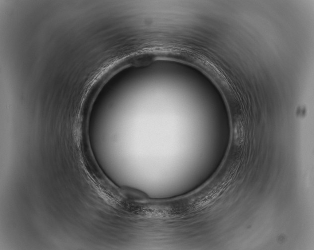 X0000101200436200806271355