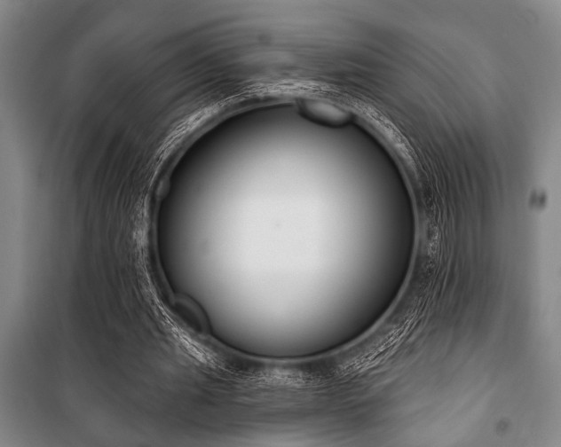 X0000101200437200806271355