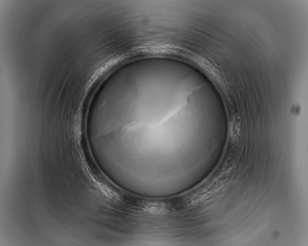 X0000101200438200806271355