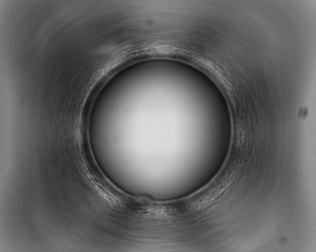 X0000101200439200806271355