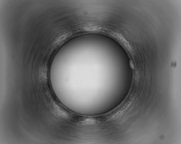 X0000101200441200806271355