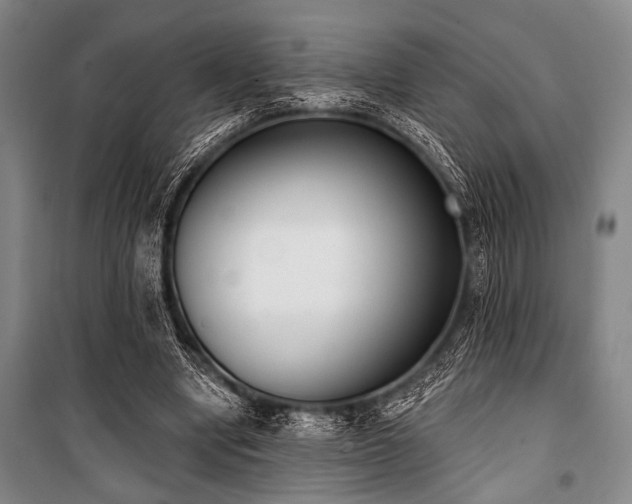 X0000101200442200806271355