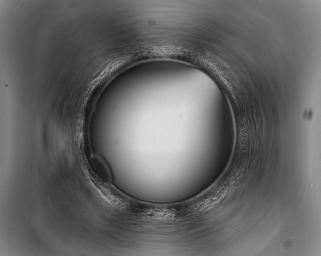 X0000101200443200806271355