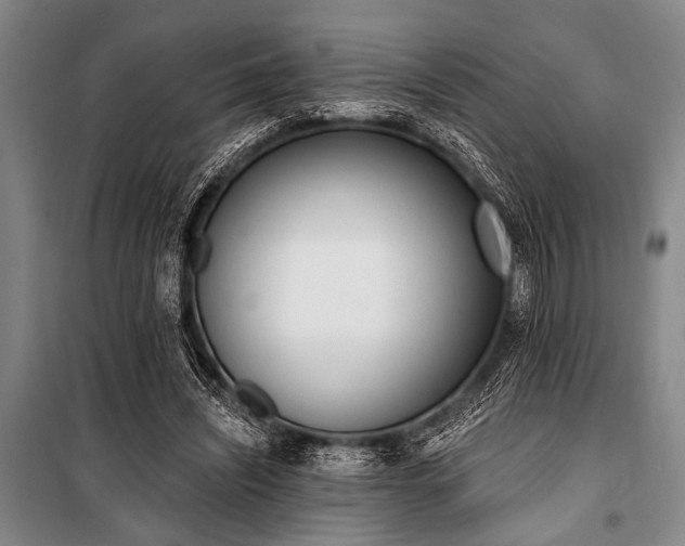 X0000101200444200806271355