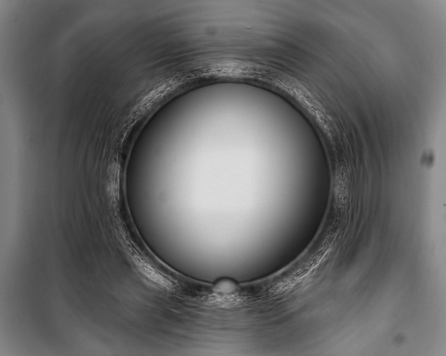 X0000101200445200806271355
