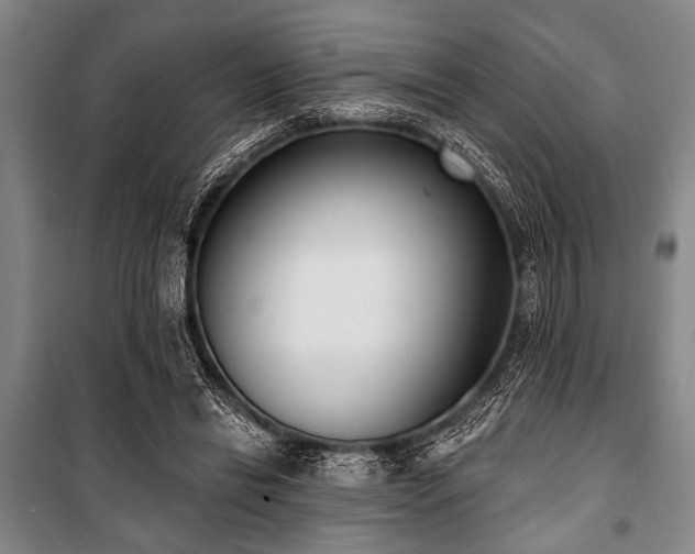 X0000101200446200806271355