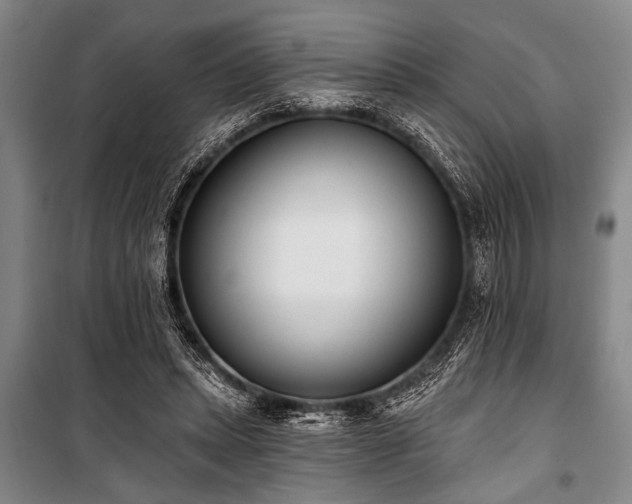 X0000101200447200806271355