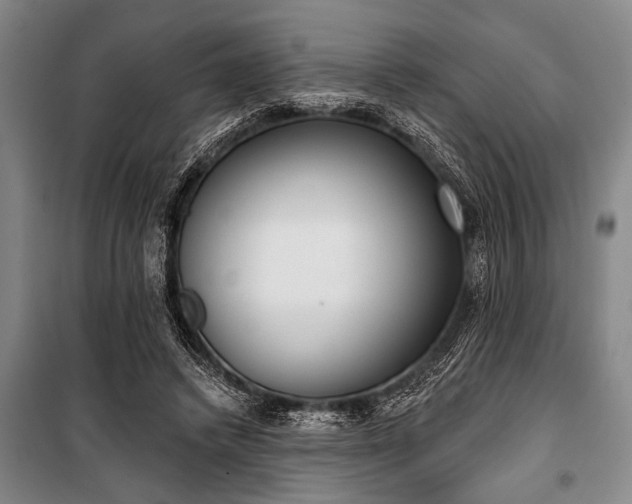 X0000101200448200806271355