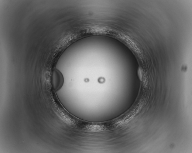 X0000101200449200806271355