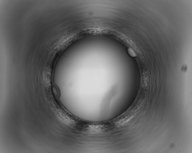 X0000101200450200806271355