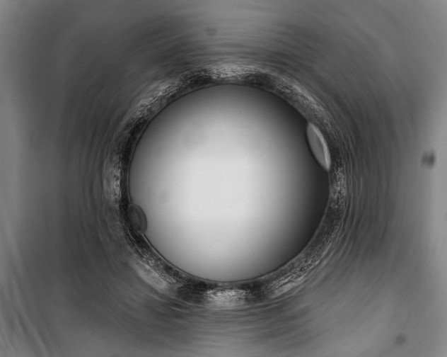 X0000101200452200806271355