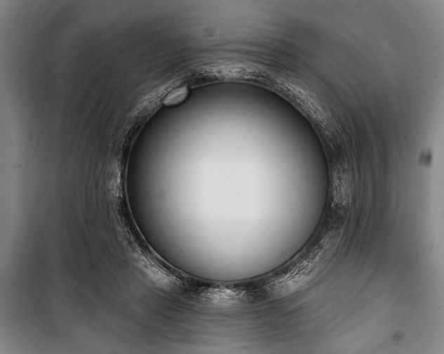 X0000101200453200806271355