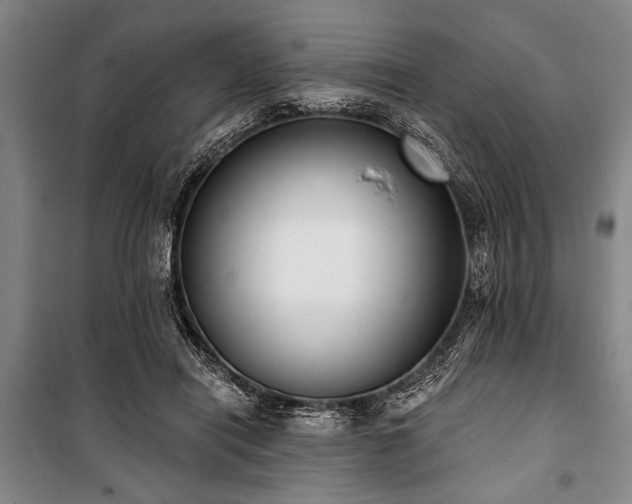 X0000101200454200806271355