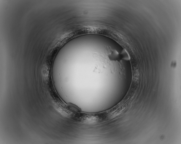 X0000101200456200806271355