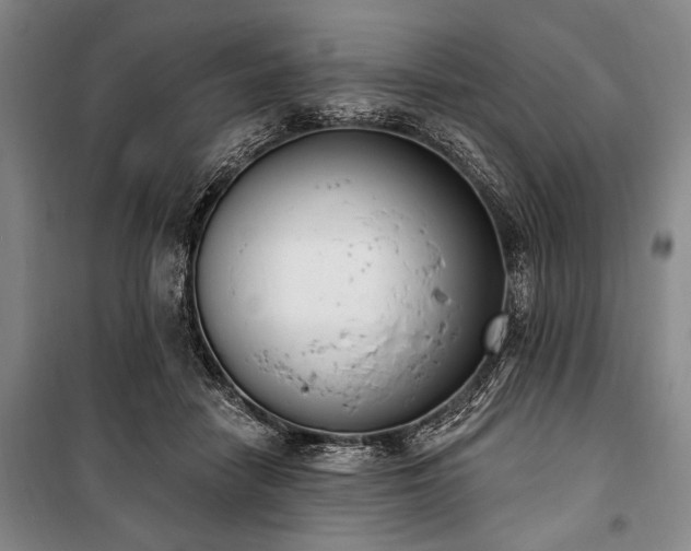 X0000101200458200806271355